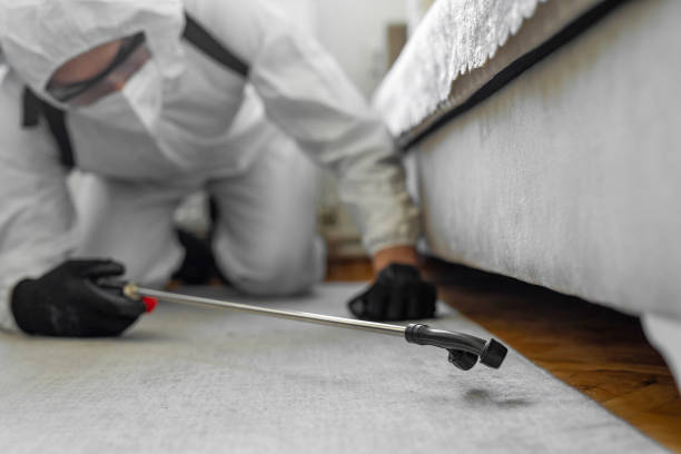 Professional Bed Bug Control technician working in Greensboro, GA
