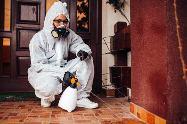 Reliable Bed Bug Control contractor in Greensboro, GA by Nex Pest Control