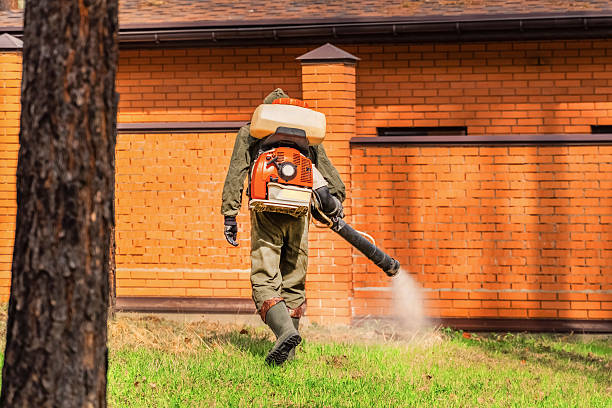 Trusted Bed Bug Control service in Greensboro, GA - Nex Pest Control